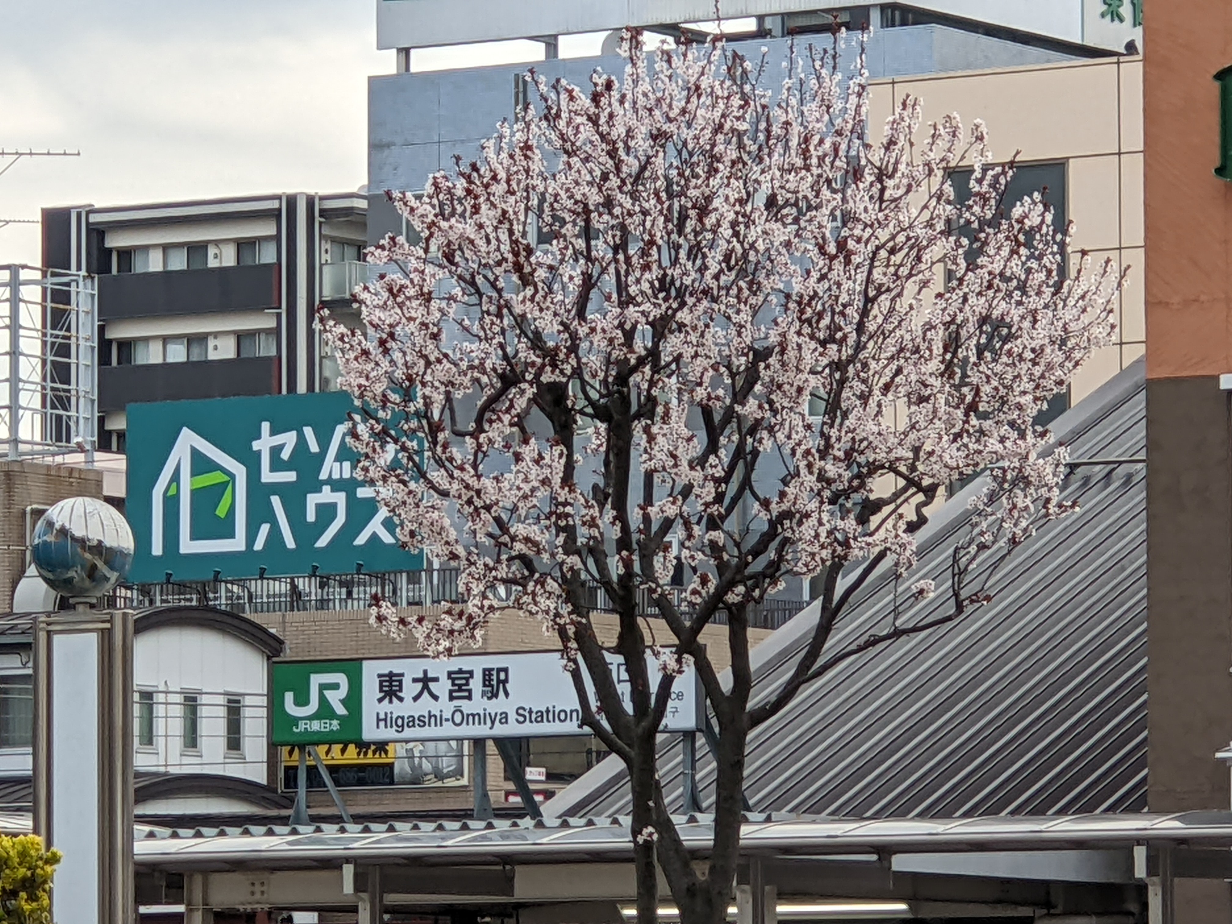 PXL_20220320_225735595.MP.jpg