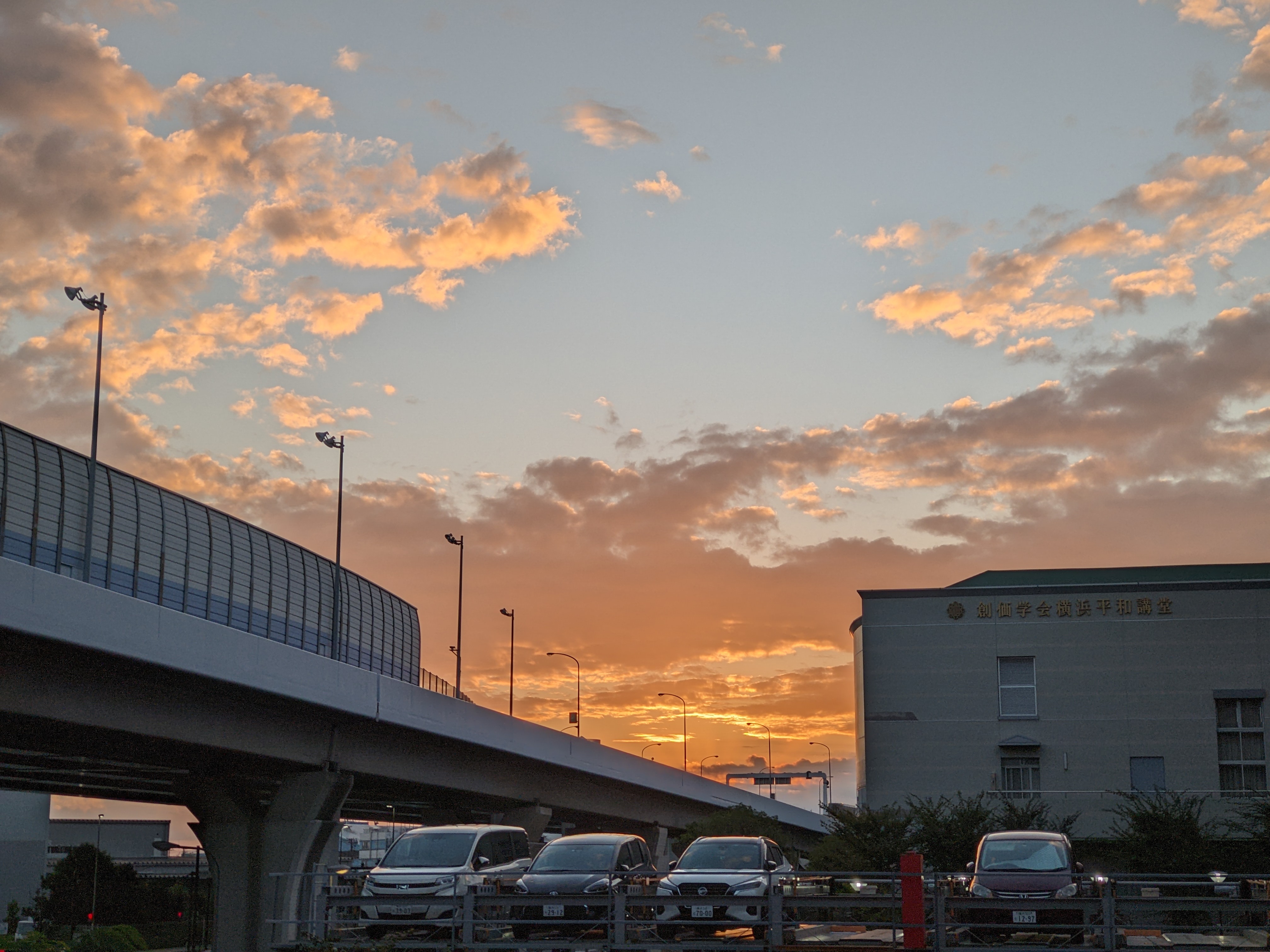 PXL_20220930_204557351.jpg